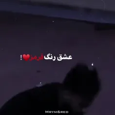 سمت چپ ی گوشه تا اخر عمر جای پرسپولیسه❤✌🏻