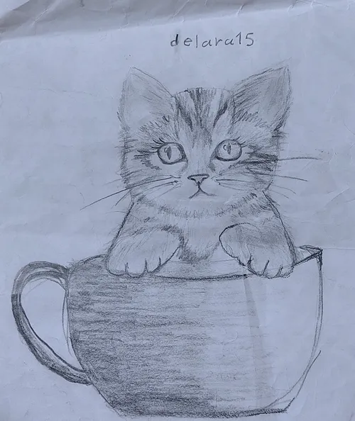 طراحی من از ی گربه