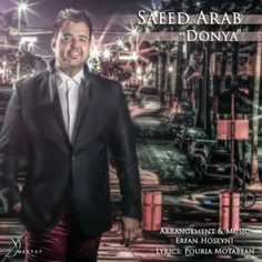 دانلود آهنگ جدید و بسیار زیبای سعید عرب به نام دنیا