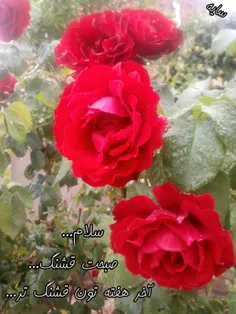 ‏دریـاب که ایـام گـل و صـبح جـوانی 🍃💐🍃