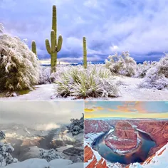 بارش برف در صحرای آریزونای آمریکا باعث خلق این تصاویر زیب