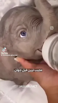 این لیاقتش از من بیشتره 😂