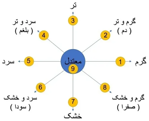 از قدیم طبع و مزاج انسان ها به چهار نوع سردی گرمی خشکی و 