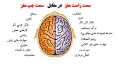 #نیم کره های مغز انسان