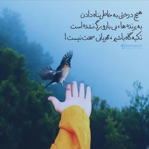 a.a.gh-1357 72488001 - عکس ویسگون