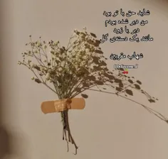 🍒🌱شاید حق با تو بود