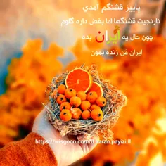 #باران ❣چه غریبانه