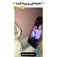 حالا هی بگین شوگا جذاب نیست 😂
