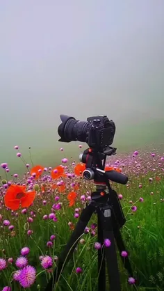 تو بهترین زمان،تو بهترین مکان،تو بهترین سن💎