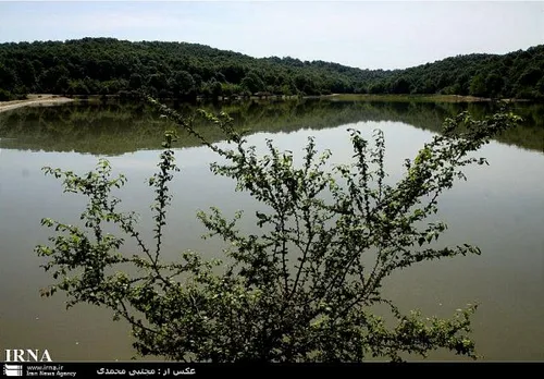 دریاچه سد سقالکسار روستای بخش مرکزی رشت گیلان