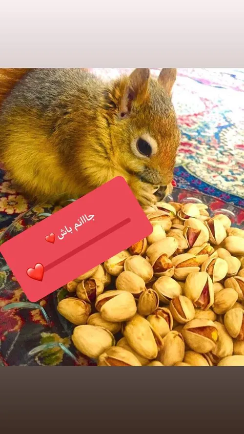 عشق من میشی تو😍 😘 ❤