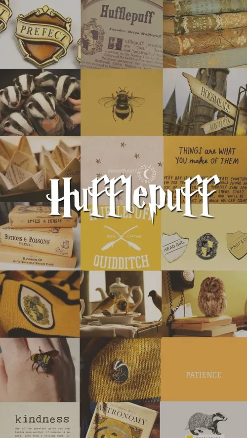 Hufflepuff🌻 💫 Mood board💥 harry Potter⚡ 👓 Hogwarts🏰 💫