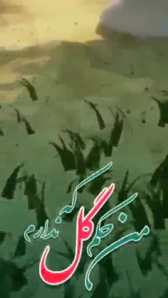 ای جان جهان بسته به یک نیم نگاهت