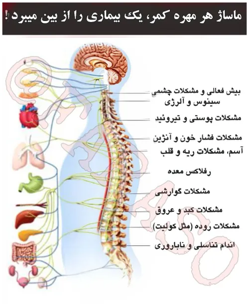 ماساژ هر مهره از کمر، یک بیماری را از بین میبردهر کدام از