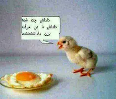 بدون شرح