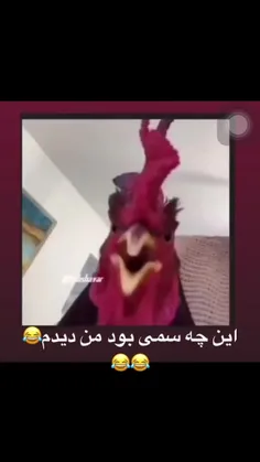 بخندم😂یا بگریم💔