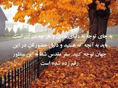 #خاطرات  🍁 پاییز🍁 