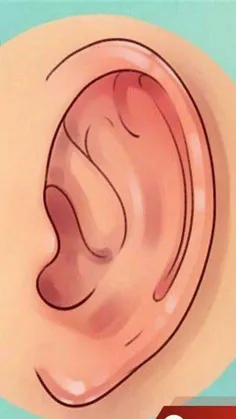 گوش ها چه چیزی درباره سلامتی تان می گویند؟
