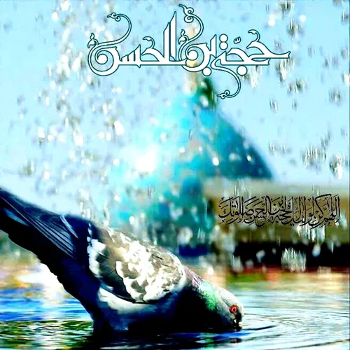 💙͜͡🕊بسم رب المھد؎ﷻ|❁