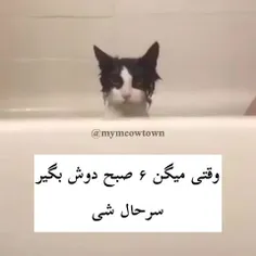 صحیح و زیبا و فرهمند 