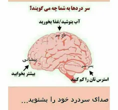 سلامت و تندرستی dkhtrbala 13970984