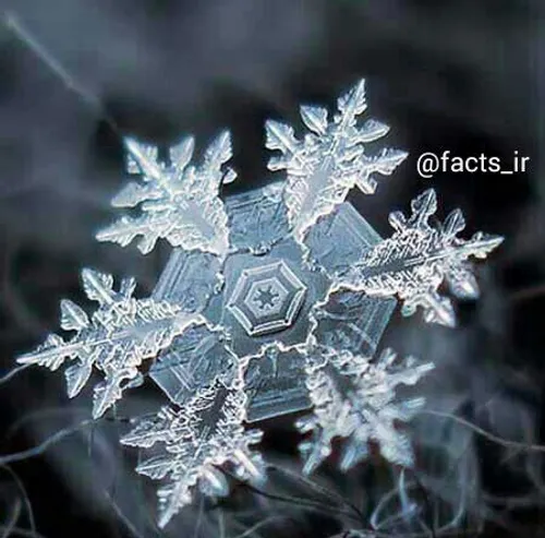 عکاسی میکروسکوپی از بلور برف ❄ ️