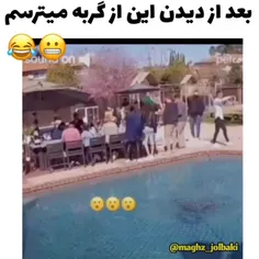 من دیگه گربه نمیخوام😅😅