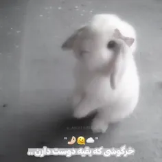 خرگوشی که من دوست دارم 😢🥺🥺