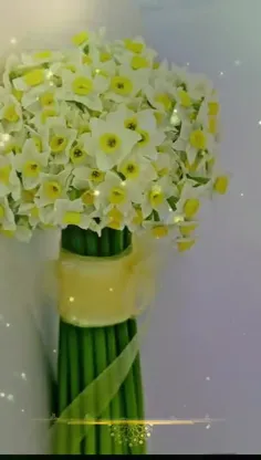 🍃آفتاب شب یلدای همه ...!!!