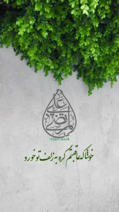 امام على عليه السلام: 