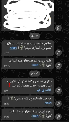 این بی ناموس خجالت نمی‌کشه همش بهم پیام میده 🤬