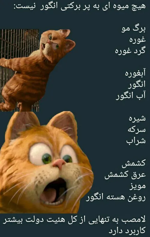 هههـِخخخ😸