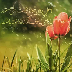 مذهبی hadis.nab 24567641