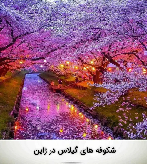 طبیعت جهانگردی ژاپن