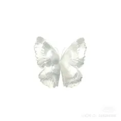 thebutterfly