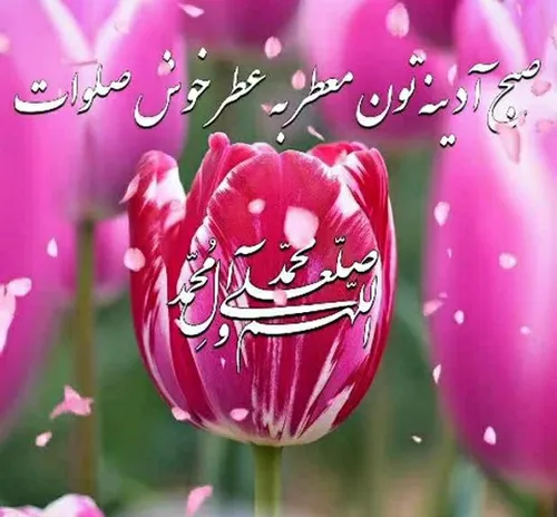 🌷سلام