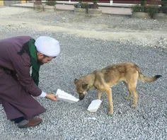 اگر " انسان " نباشیم هیچ مذهبی ما را به " بهشت " نخواهد ب