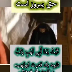 akram_banoo_49 74176258