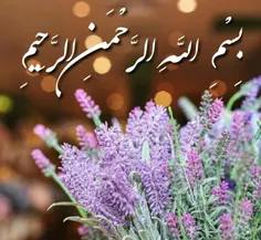 ‍ روزبخیر