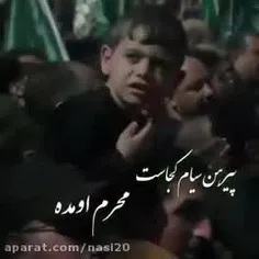 منزلگه عشاق دل آگاه حسین است