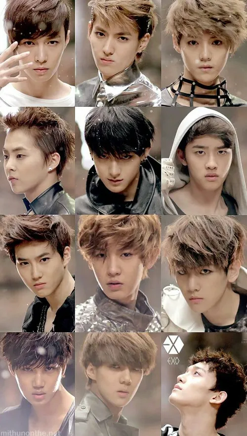 اکسو exo