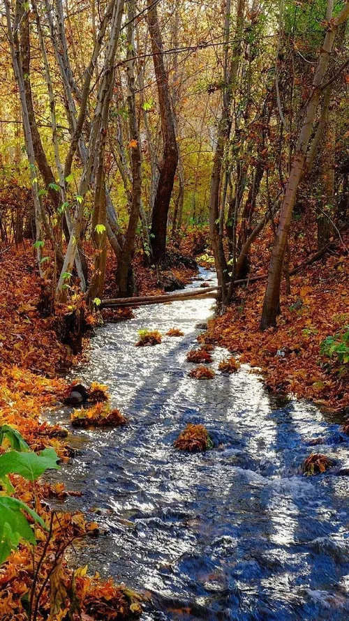 خراسان رضوی گلمکان