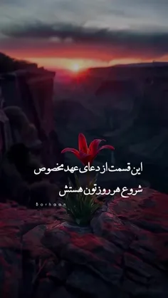 🟢 این قسمت از دعای عهد مخصوص شروع هر روزمان،