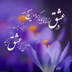 زمانی موسیقی زندگی