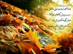 مذهبی zakiehla 24358985