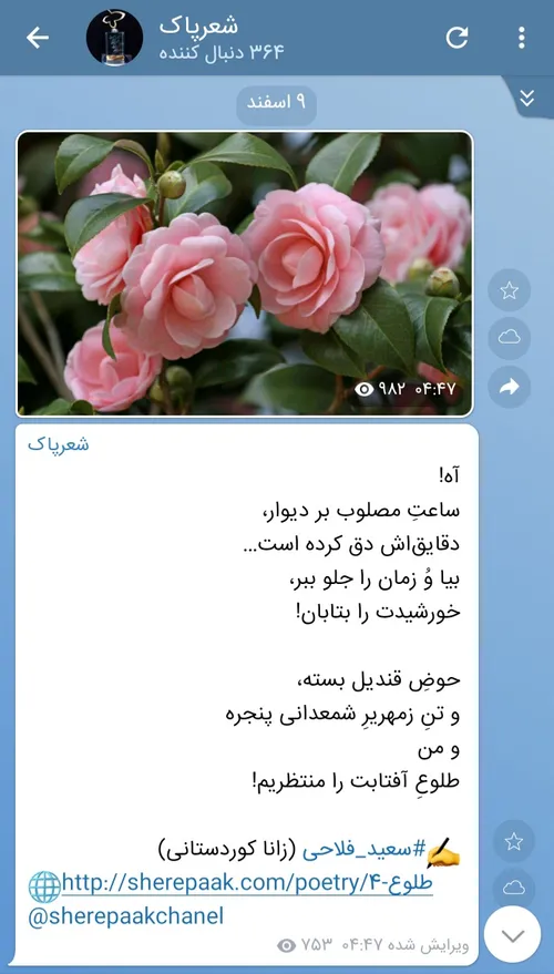 سعید فلاحی (زانا کوردستانی)