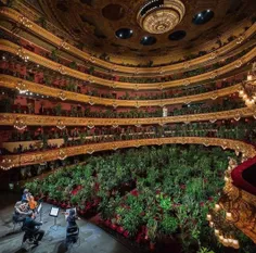 اجرای کنسرت در اسپانیا در حضور ۳۰۰۰ گلدان!