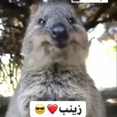 قدر منو بدونین 😎 😎😎