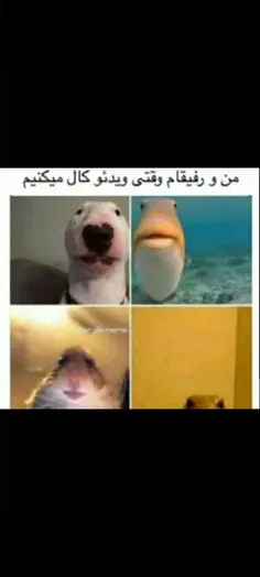 حق😂😂