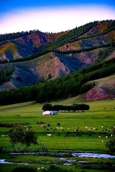 ناخدا به کشتی ما نمی باشی نباش هی